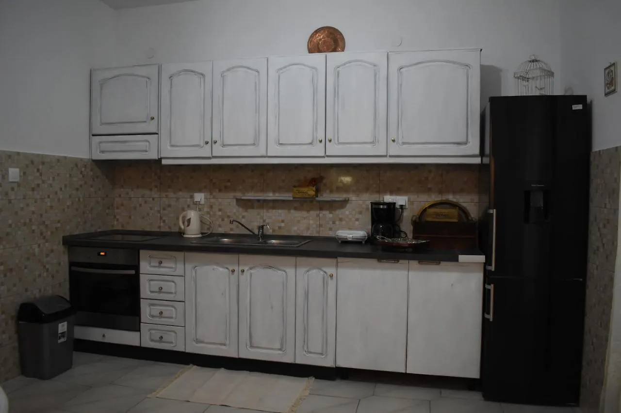 Mariana'S Apartment Βατοπέδι