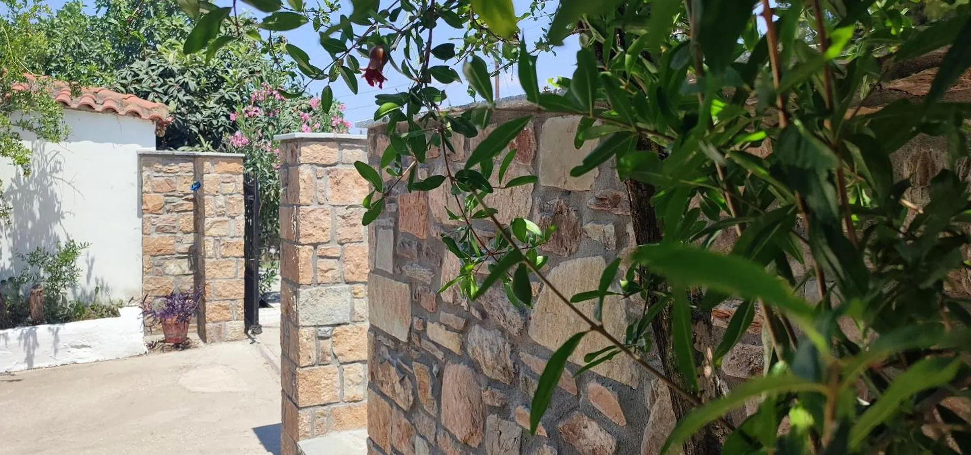 Mariana'S Apartment Βατοπέδι